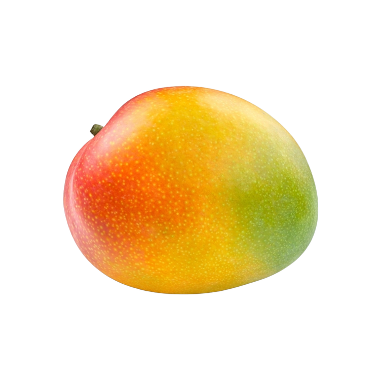 Mango Kent per stuk