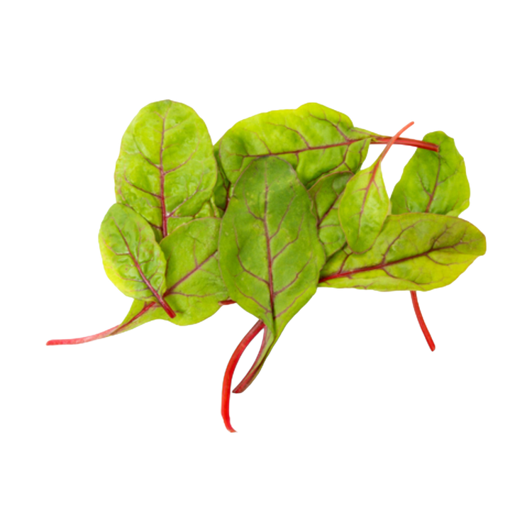 Red chard (125gr)