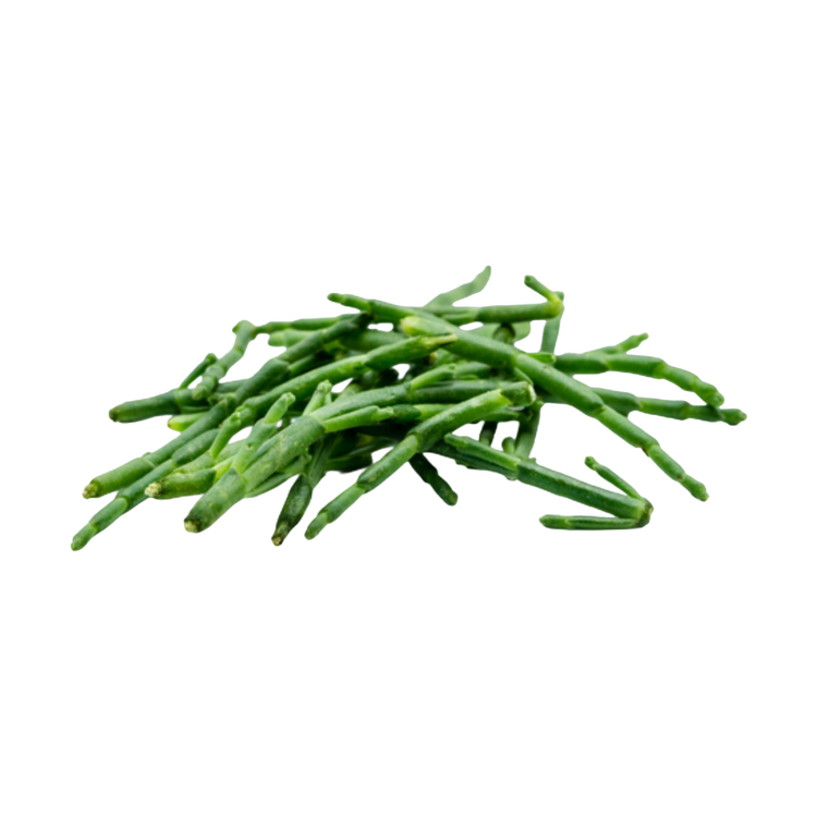 Zeekraal (75gr)