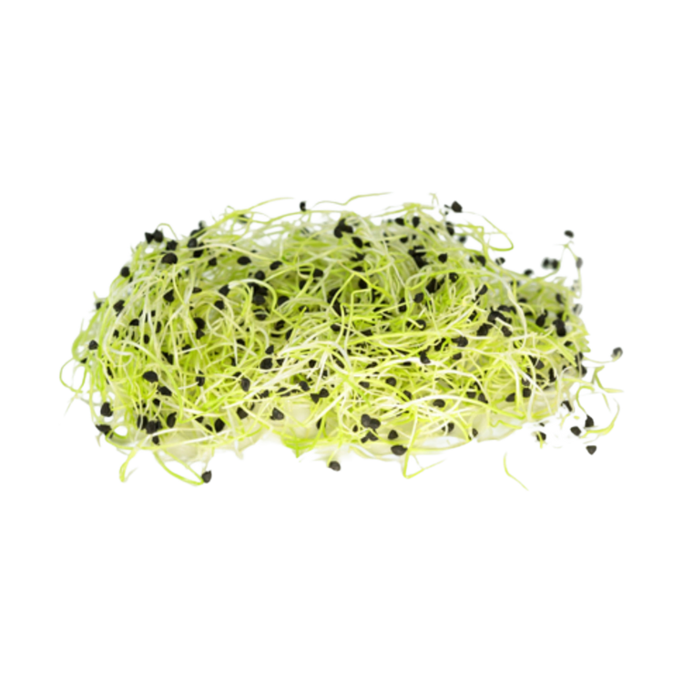 Onion sprouts (50 gram)
