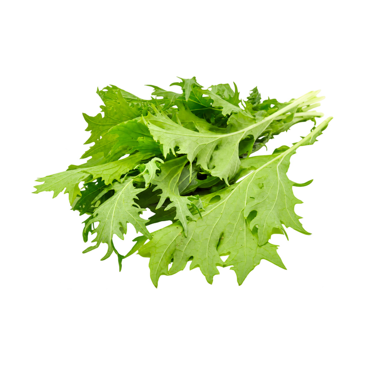 Mizuna groen (125gr)