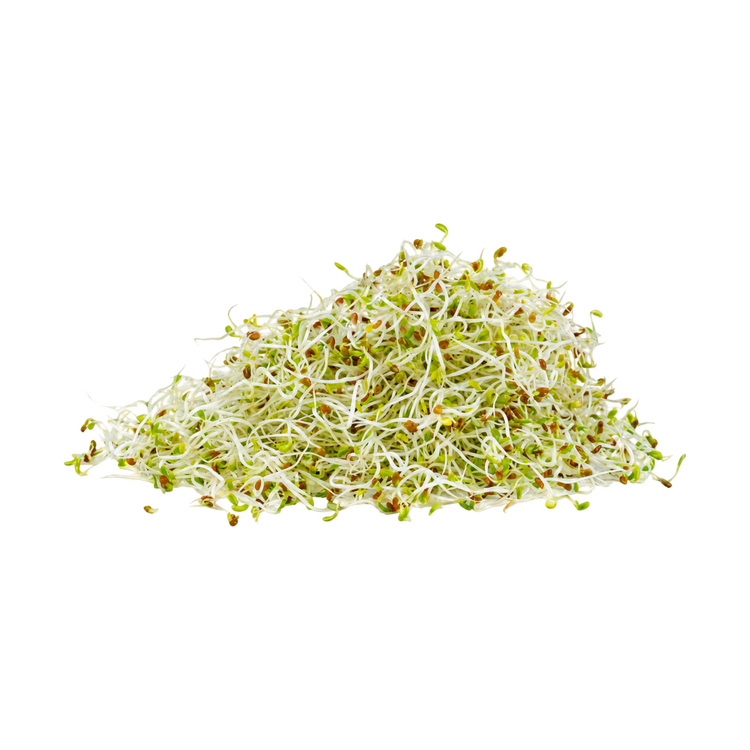 Alfalfa (100gr)