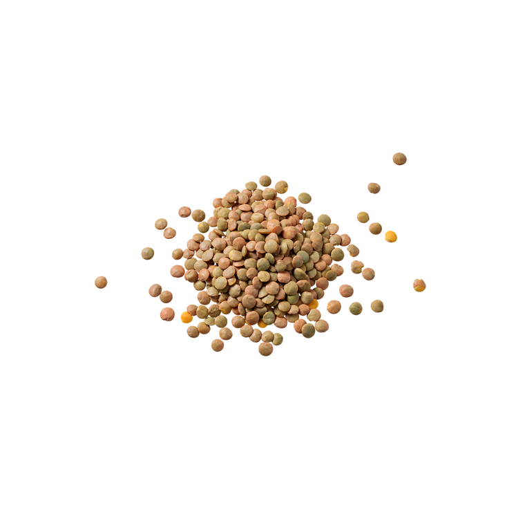 Groene linzen (500gr)