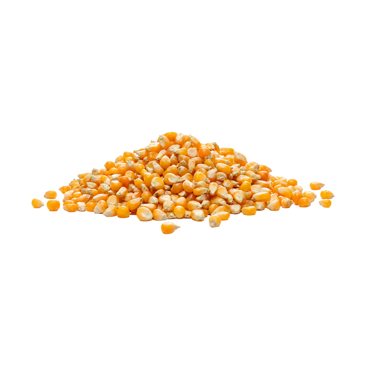 Popcorn mais (500gr)