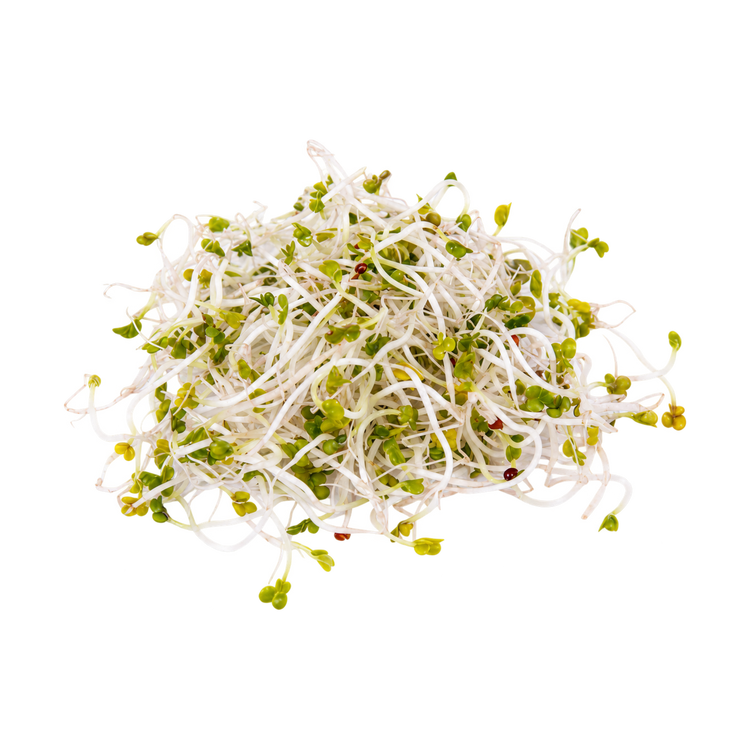 Radijs kiemen (50gr)