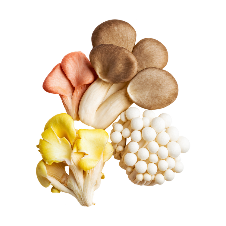 Paddenstoelen mix (250gr)