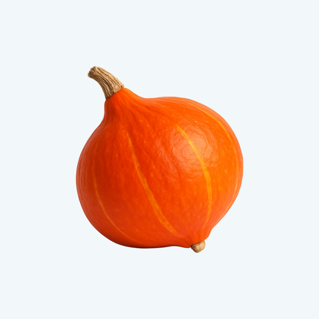 Pompoen Hakkaido
