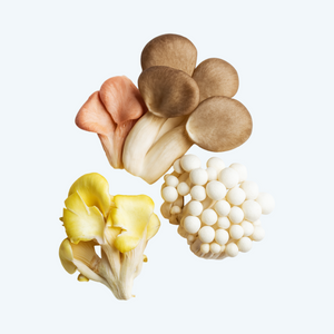 Paddenstoelen mix (250gr)