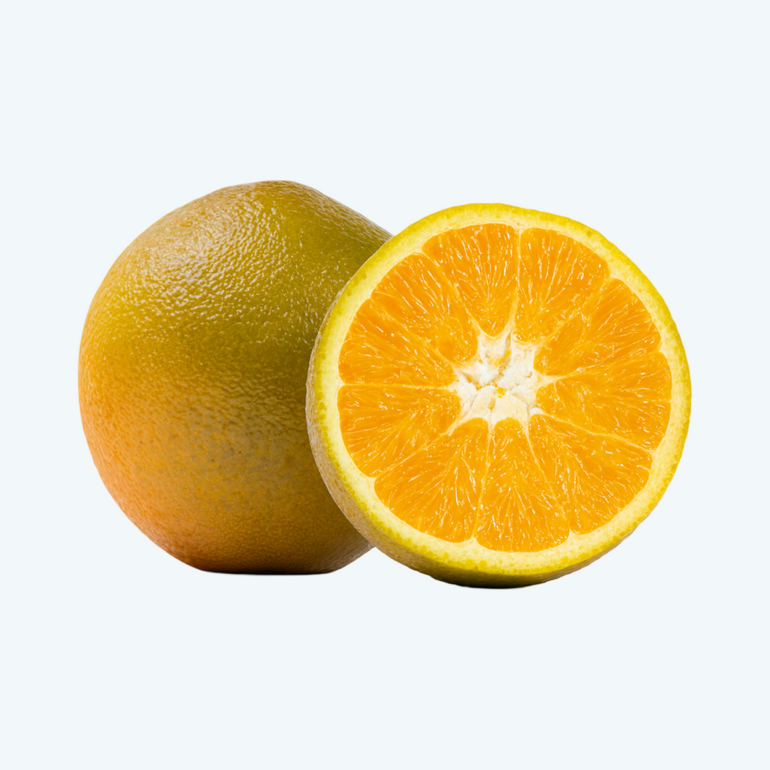 Sinaasappel navel chocolate per stuk