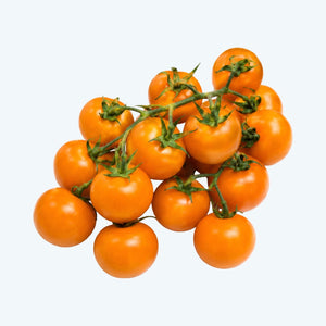 Trostomaten oranje (1kg)