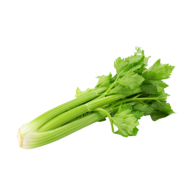 Bleekselderij
