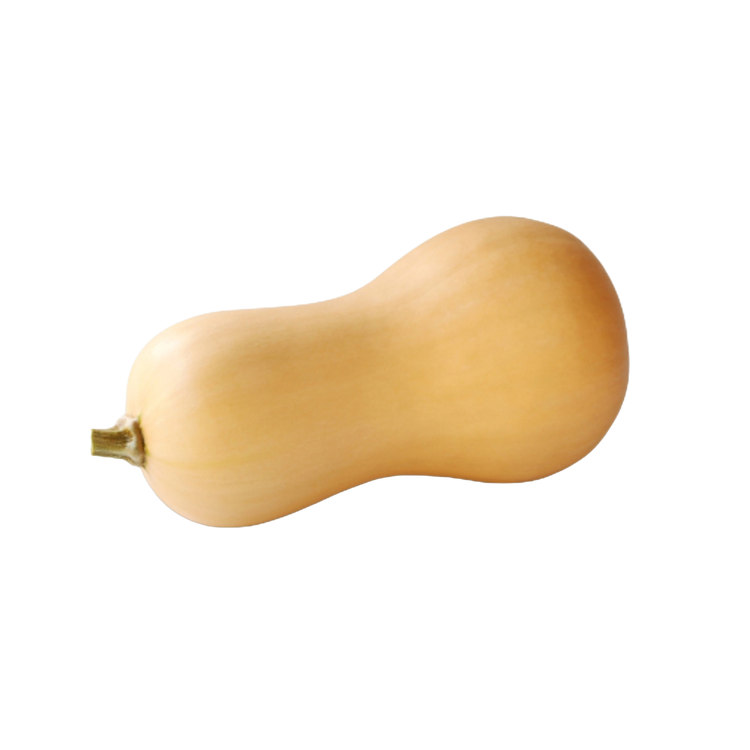 Fles pompoen