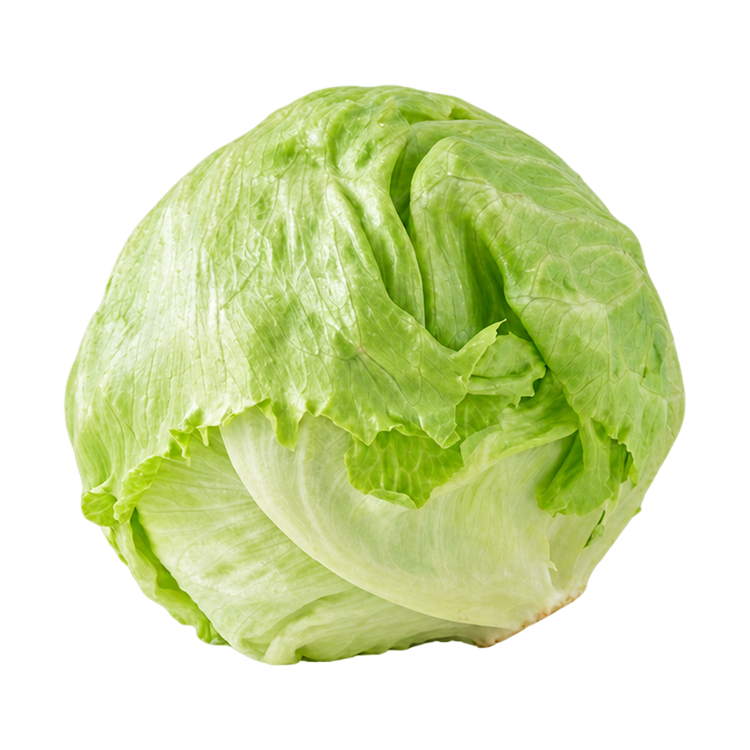 Krop ijsbergsla