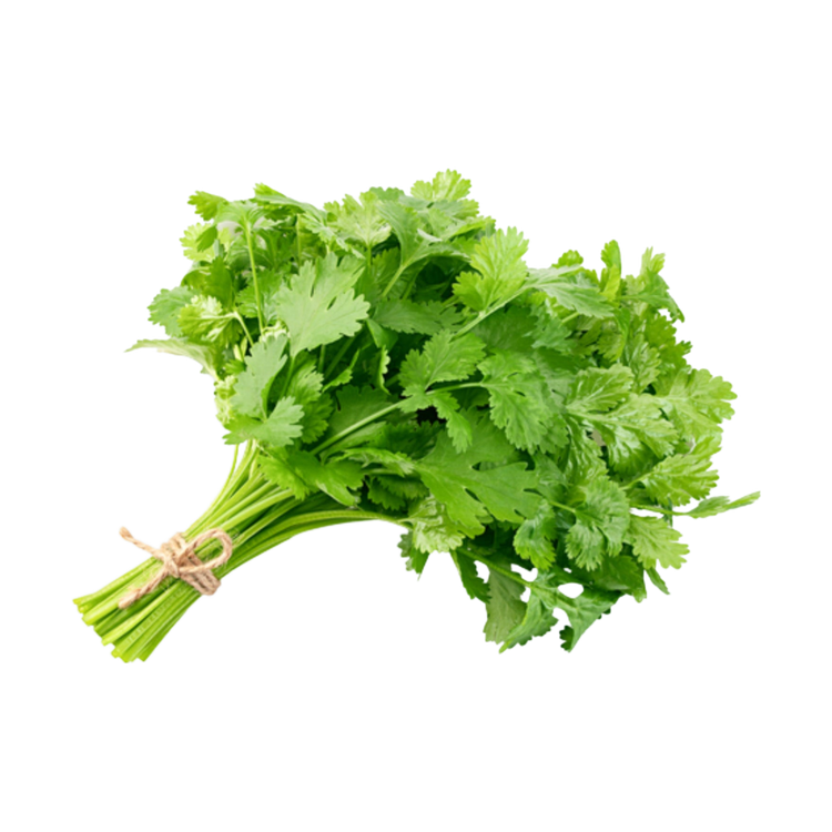 Koriander (20 gram)
