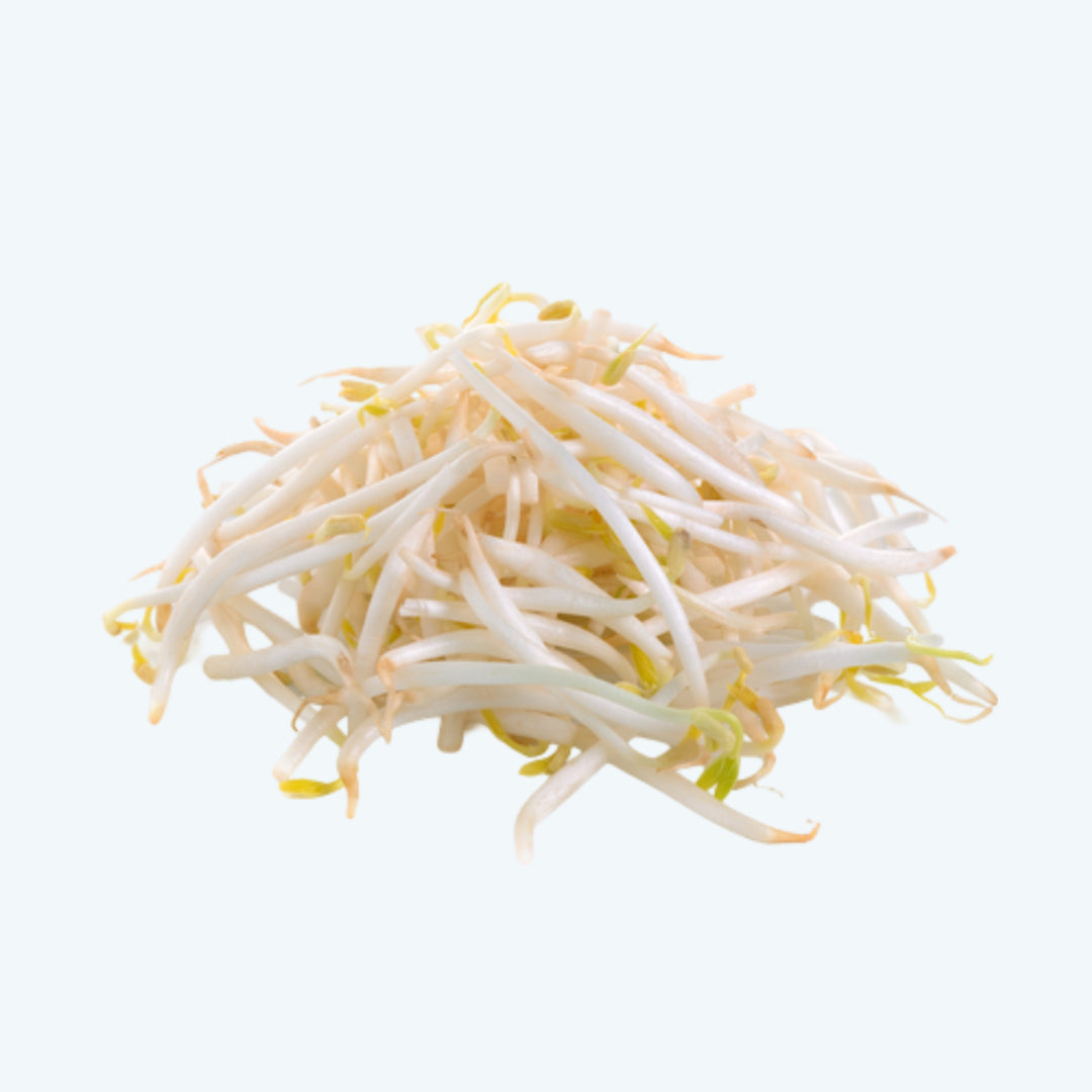 Taugé (300gr)