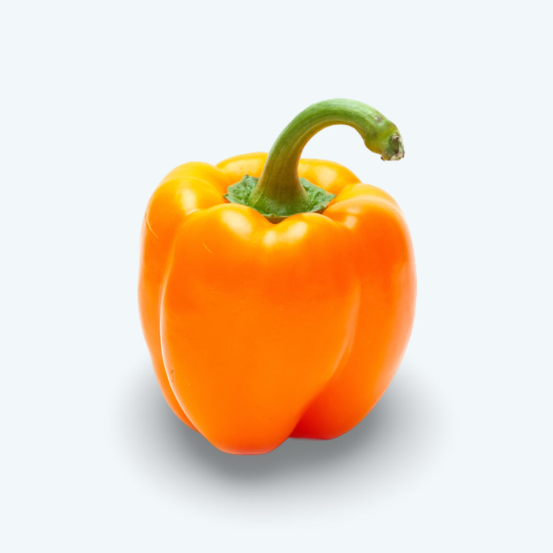 Paprika oranje