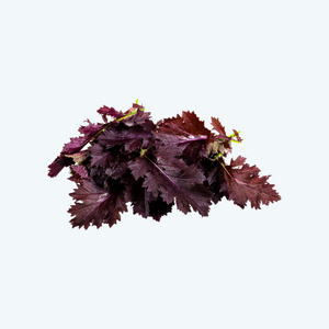 Mizuna rood (125gr)