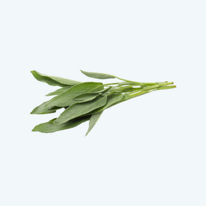 Salie (25gr)