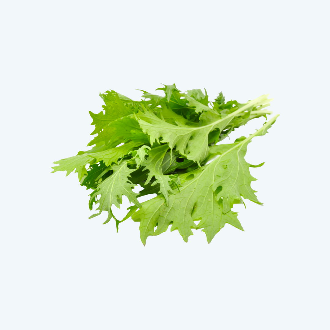 Mizuna groen (125gr)