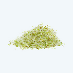 Alfalfa (100gr)